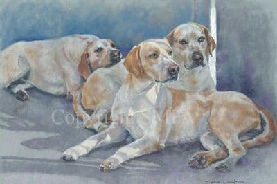 Foxhound Limited Edition Print 'Good Morning' by Debbie Gillingham