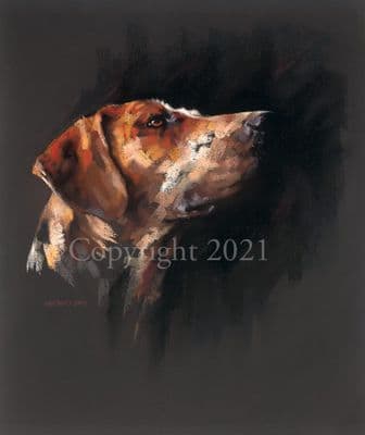 Foxhound Limited Edition Print 'In All Sincerity' by Karen Davies