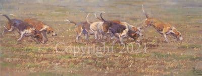 Foxhound Limited Edition Print 'On The Scent' by Malcolm Coward