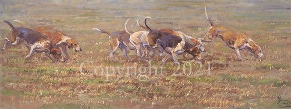 Foxhound Limited Edition Print 'On The Scent' by Malcolm Coward
