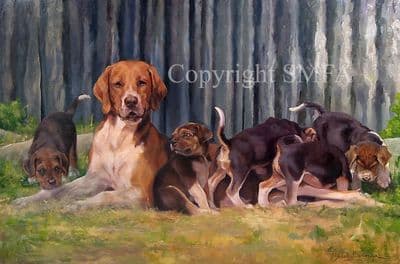 Foxhound Limited Edition Print 'Serenity' by Elizabeth Scrivener