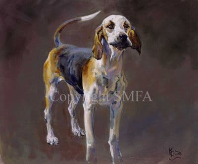 Foxhound Limited Edition Print 'The Foxhound' by Malcolm Coward