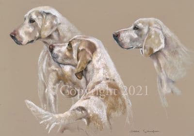 Foxhound Limited Edition Print 'Trusted Trio' by Debbie Gillingham