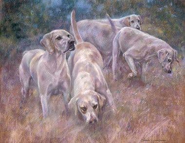 Foxhound Original Pastel 'Casting About' by Debbie Gillingham