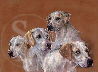 Foxhound Original Pastel 'Hounds' by Debbie Gillingham