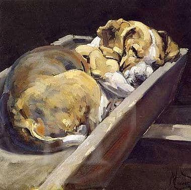 Foxhound Puppy Blank Greetings Card 'Dog in The Manger' by Malcolm Coward CS18