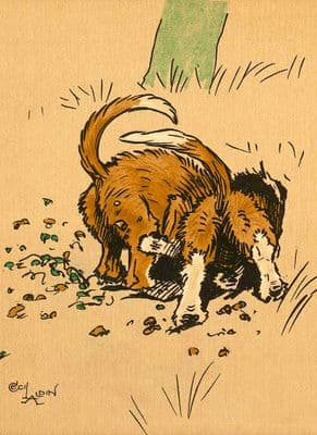 Foxhound Pups Blank Greetings Card 'Bottoms Up' by Cecil Aldin C296
