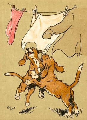 Foxhound Pups Blank Greetings Card 'The Tearaways' by Cecil Aldin C297