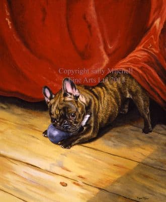 French Bulldog Limited Edition Print 'Curtain Call' by Pippa Thew