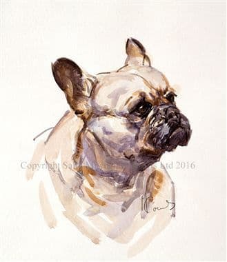 French Bulldog Limited Edition Print  'French Bulldog' by Malcolm Coward