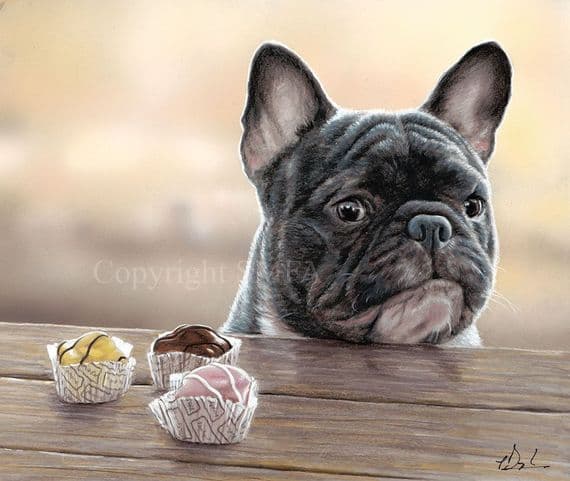 French Fancies' Original Mixed Media French Bulldog Painting by Paul Doyle