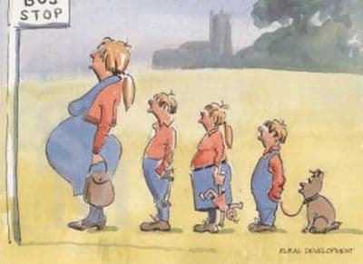 Funny Countryside Blank Greetings Card 'Down on the Farm' by Malcolm Coward D3