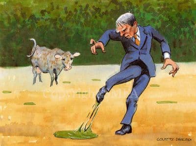 Funny Farming Blank Greetings Card 'Country Dancing' by Malcolm Coward D4