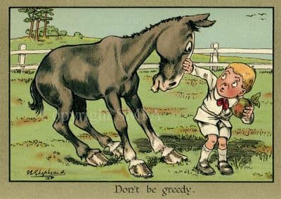 Funny Horse Greetings Card  'Don't Be Greedy' by C.S. Shepherd C319