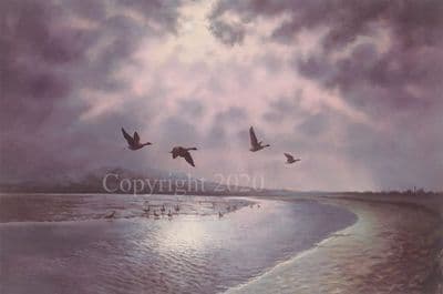 Game Bird Limited Edition Print 'Moonlight Over Caerlaverock' by Ian Phipps