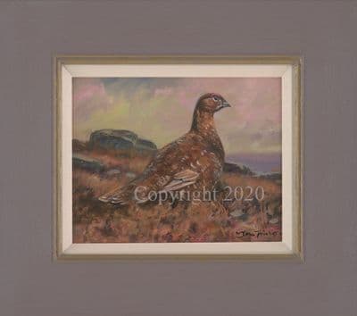 Gamebird Original Oil Painting 'Grouse' by John Trickett