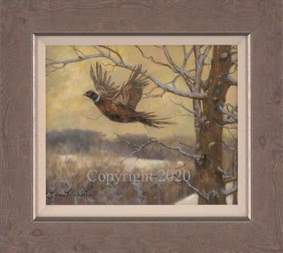 Gamebird Original Oil Painting 'Pheasant Up' by John Trickett