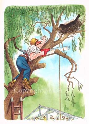 Gardening Blank Greetings Card 'Tree Pruning' by Christopher Hope THB019