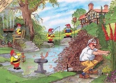 Gardening Blank Greetings Cards 'Garden Gnomes' by Christopher Hope THB002