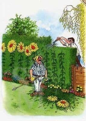 Gardening Funny Blank Greetings Card 'The Hedge Cutter' by Christopher Hope THB006