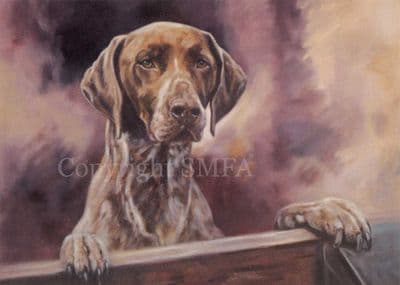 German Pointer Blank Greetings Card 'Locked Out' by John Trickett C143