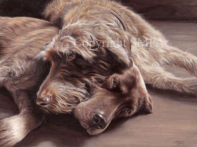 German Pointer Limited Edition Print 'The Long and Short of it' by Paul Doyle
