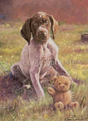 German Pointer Puppy Blank Greetings Card 'Puppy Love' by David Barfield B135