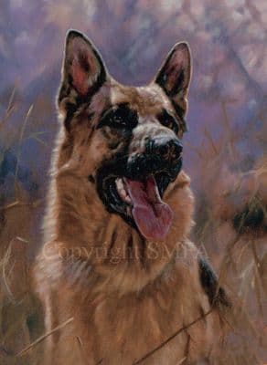 German Shepherd' Black Greetings Card by John Trickett C288