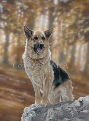 German Shepherd Limited Edition Print 'Autumn Majesty' by Paul Doyle