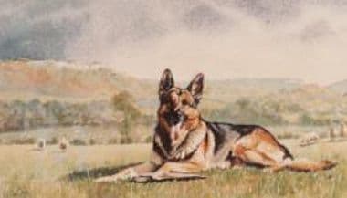 German Shepherd Limited Edition Print 'Masterful' by Jo Campin