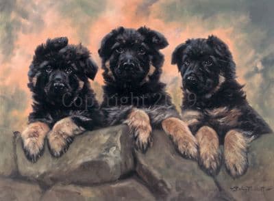 German Shepherd Limited Edition Print 'The Three Amigos' by John Trickett