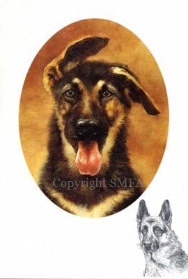 German Shepherd Puppy  by Mick Cawston Blank Greetings Card CE9
