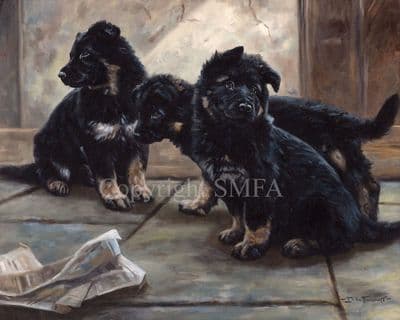 German Shepherd Pups Limited Edition Print 'News Readers' by John Trickett