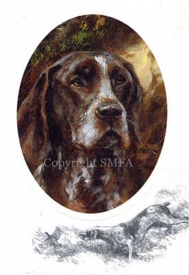 German Short Haired Pointer Blank Greetings Card by Mick Cawston CE16