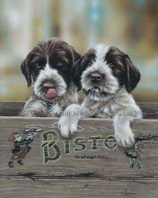 German Wire Haired Pointer Puppy Limited Edition Print 'Ahh' by Paul Doyle