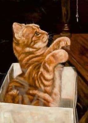 Ginger Cat Blank Greetings Card 'Box of Tricks' by John Trickett C276