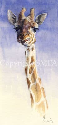 Giraffe Limited Edition Print 'The Overseer' by Malcolm Coward