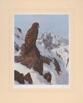 Golden Eagle Ex-Display Mounted Print by John Trickett