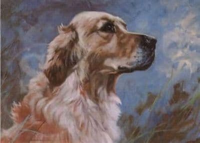 Golden Retriever Blank Greetings Card 'The Golden Retriever' by John Trickett C5