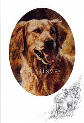 Golden Retriever by Mick Cawston  Blank Greetings Card CE11