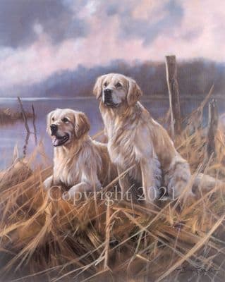 Golden Retriever Limited Edition Print 'Golden Moments' by John Trickett
