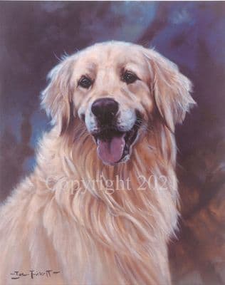 Golden Retriever Limited Edition Print 'Happiness' by John Trickett