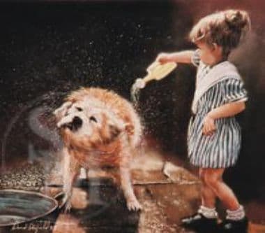 Golden Retriever Limited Edition Print 'Spin Dry' by David Barfield