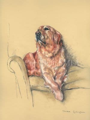 Golden Retriever Limited Edition Print 'The Chairman' by Debbie Gillingham