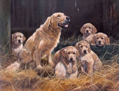 Golden Retriever Limited Edition Print 'The Home Team' by John Trickett