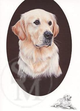 Golden Retriever Open Edition Print by Josephine Copley
