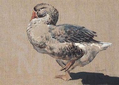 Goose Blank Greetings Card 'Goose Step' by Malcolm Coward B55