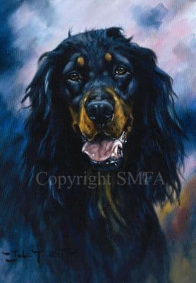 Gordon Setter Limited Edition Print 'Bad Hair' Day by John Trickett