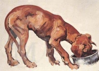 Great Dane Blank Greetings Card 'Pup's Meal Time' by Malcolm Coward B64