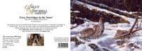 Grey Partridges in The Snow' Pack of 10 Christmas Cards by John Trickett C371x
